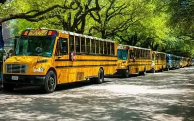 School Bus Rental
